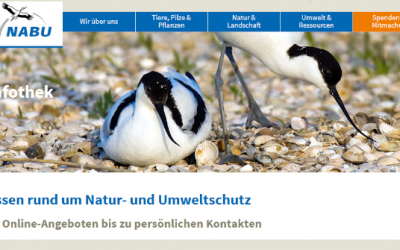 Wissen rund um Natur- und Umweltschutz – mit der NABU-Lernplattform