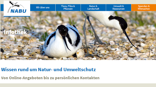 Wissen rund um Natur- und Umweltschutz – mit der NABU-Lernplattform